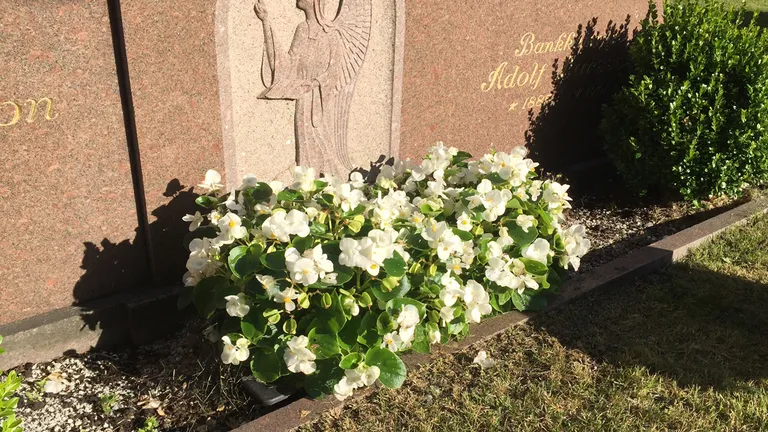 PLANTEKASSE 60 X 40 CM.